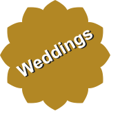 Wedding-Flash-Normal
